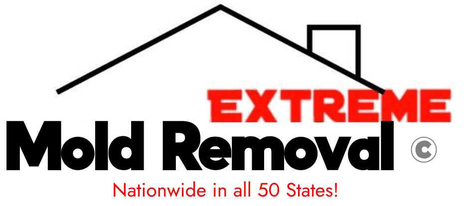Extreme Mold Removal
